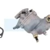 Carburateur Pour Moteur Briggs & Stratton (390323)