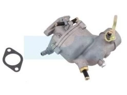 Carburateur Pour Moteur Briggs & Stratton (390323)