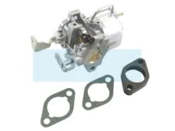 Carburateur Pour Moteur Briggs & Stratton (715520)