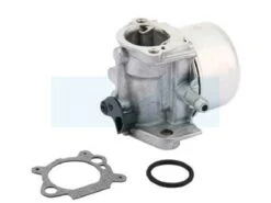 Carburateur Pour Moteur Briggs & Stratton (799872)