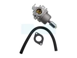 Carburateur Pour Moteur Briggs & Stratton (794572)