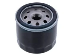 Filtre à Huile Pour John Deere (AM125424)