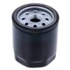 Filtre à Huile Pour Moteur Lombardini (1152175131)