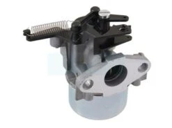 Carburateur Pour Moteur Briggs & Stratton (796608)