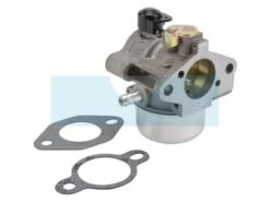 Carburateur Pour Moteur Kohler (12853169S)