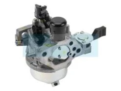 Carburateur Pour Moteur Honda (16100Z1FW02)