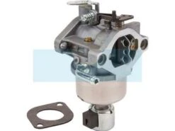 Carburateur Pour Moteur Briggs & Stratton (594605)