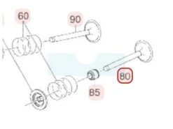 Soupape D'admission Pour Moteur Robin / Subaru (12111Z02011000)